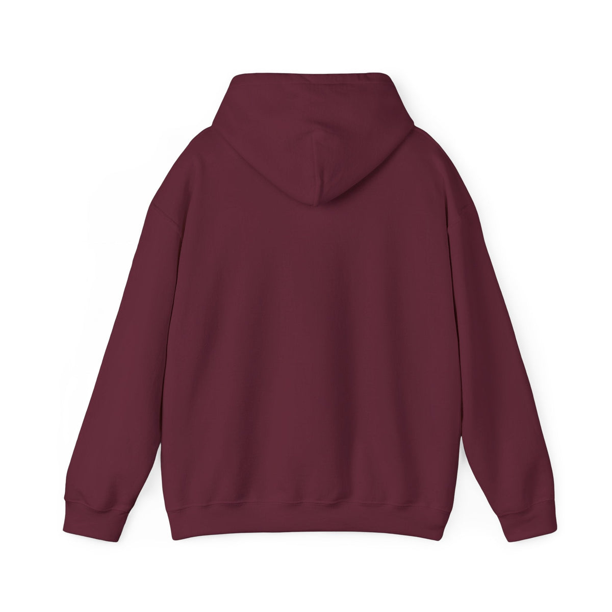 Potions Class Hoodie