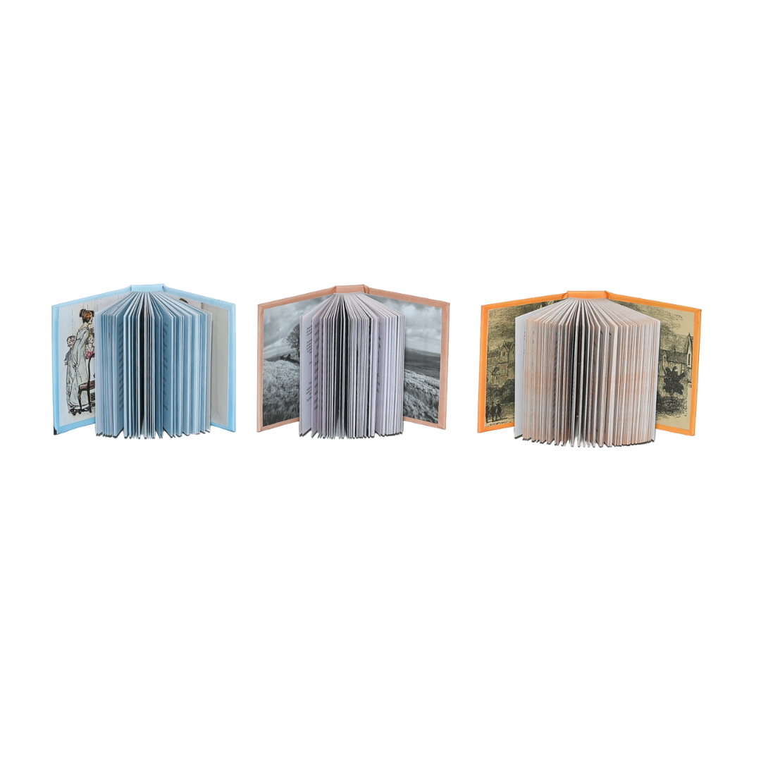 Literary Lover's Box Set (Miniature)