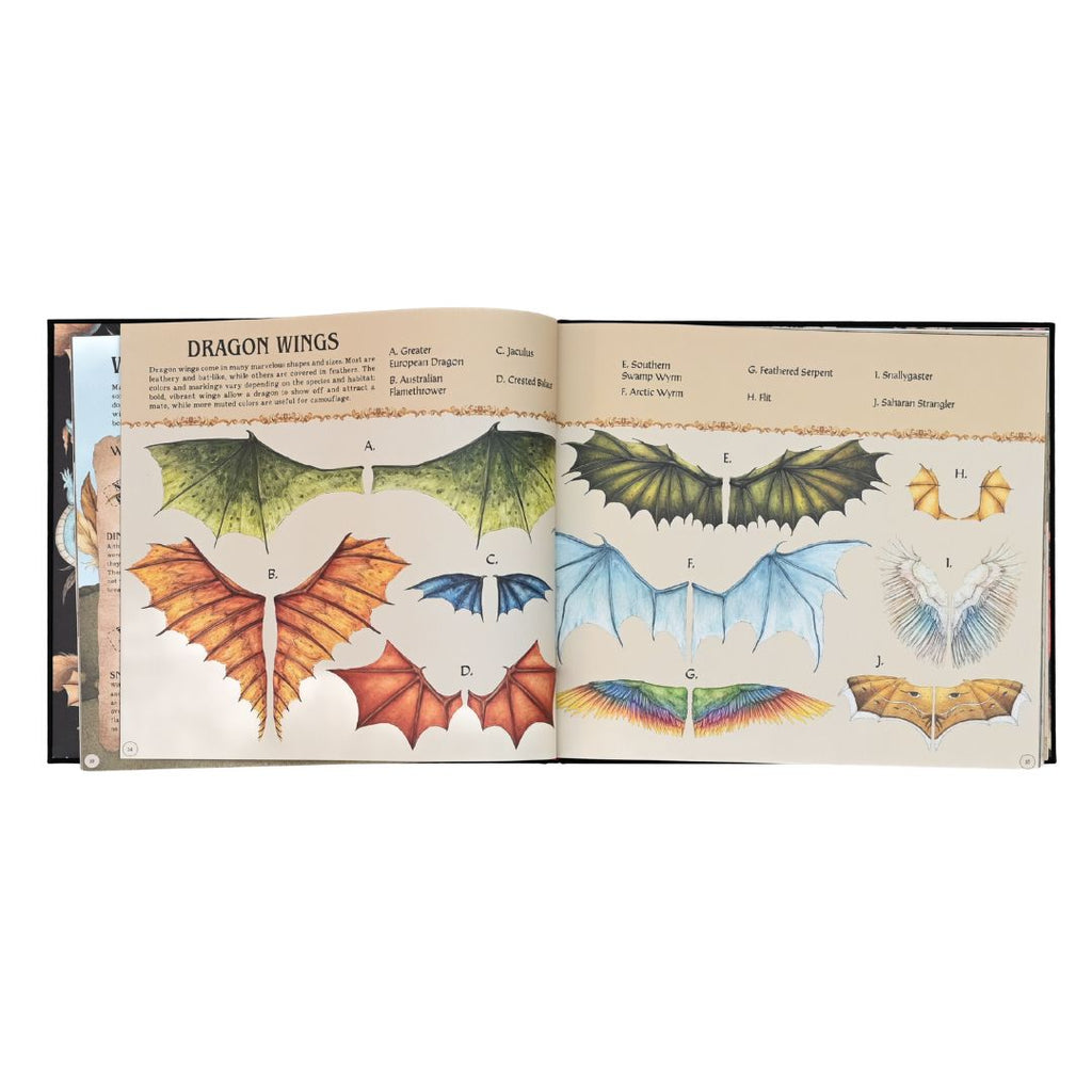 A Natural History of Dragons