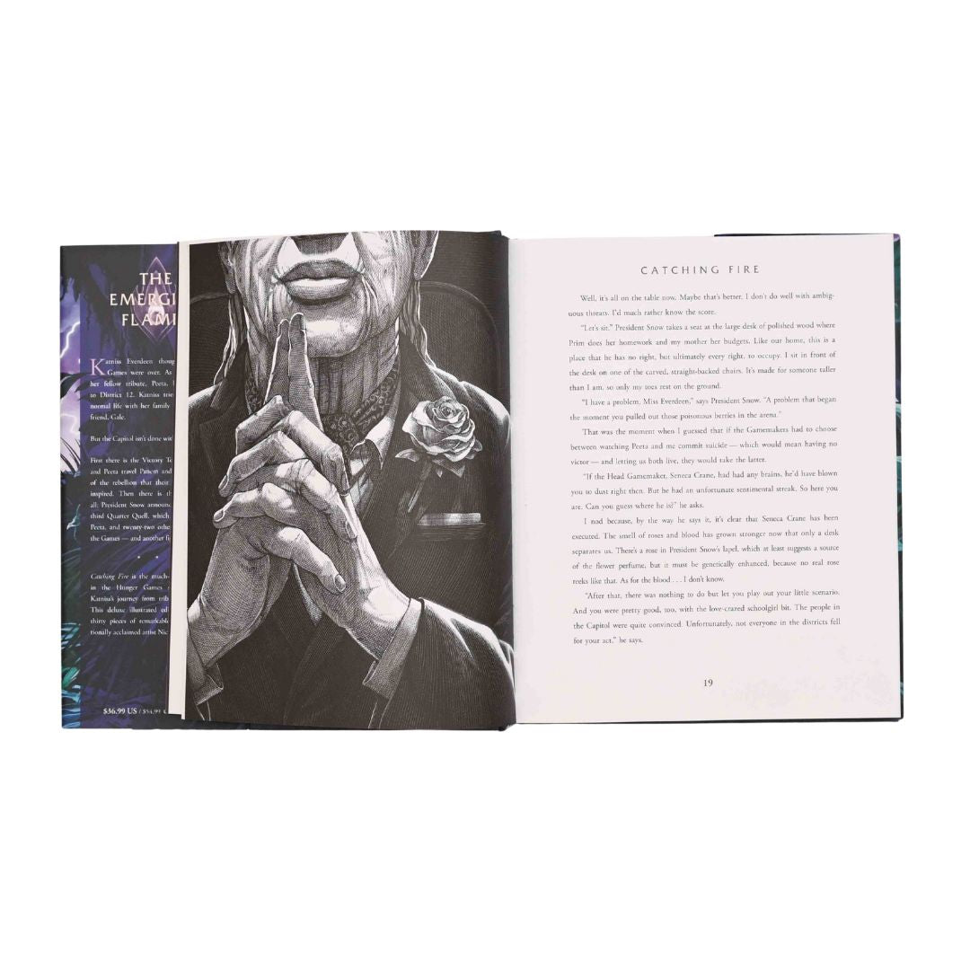 Catching Fire Illustrated Edition