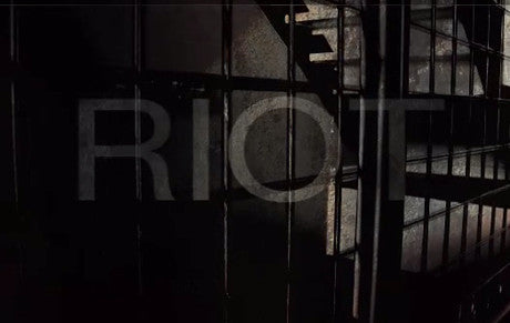 RIOT by Dan Hauss