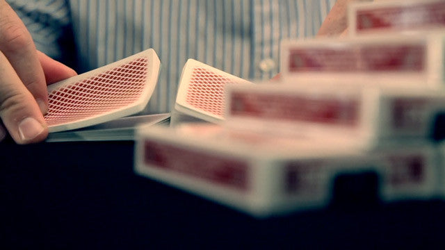 Bee Stingers - Red