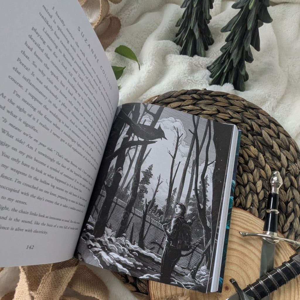 Catching Fire Illustrated Edition