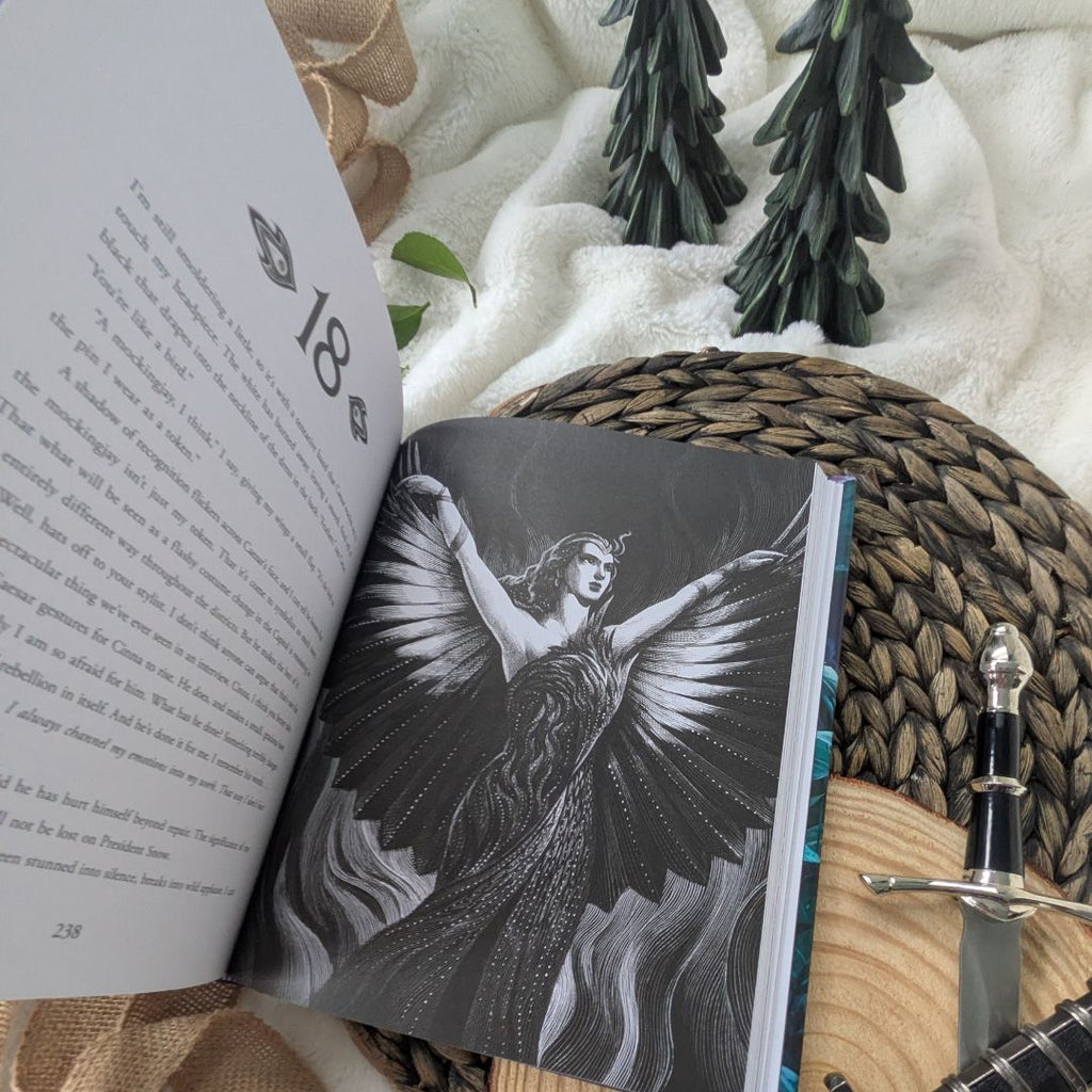 The Hunger Games Illustrated Book Set
