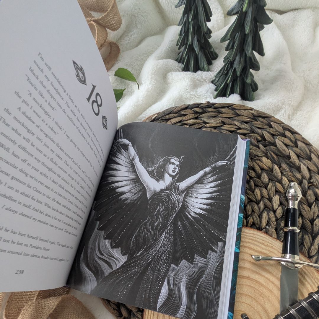Catching Fire Illustrated Edition