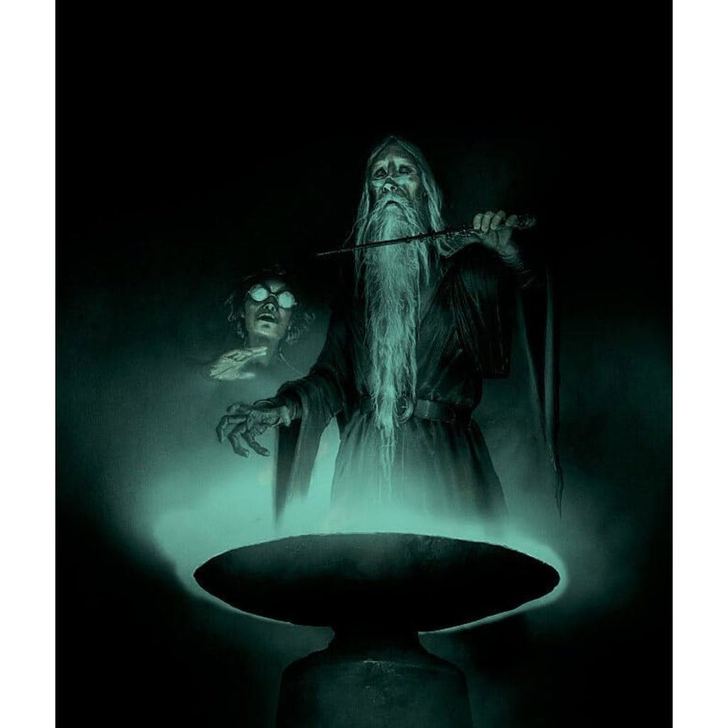 Harry Potter Book Set - The Illustrated Editions