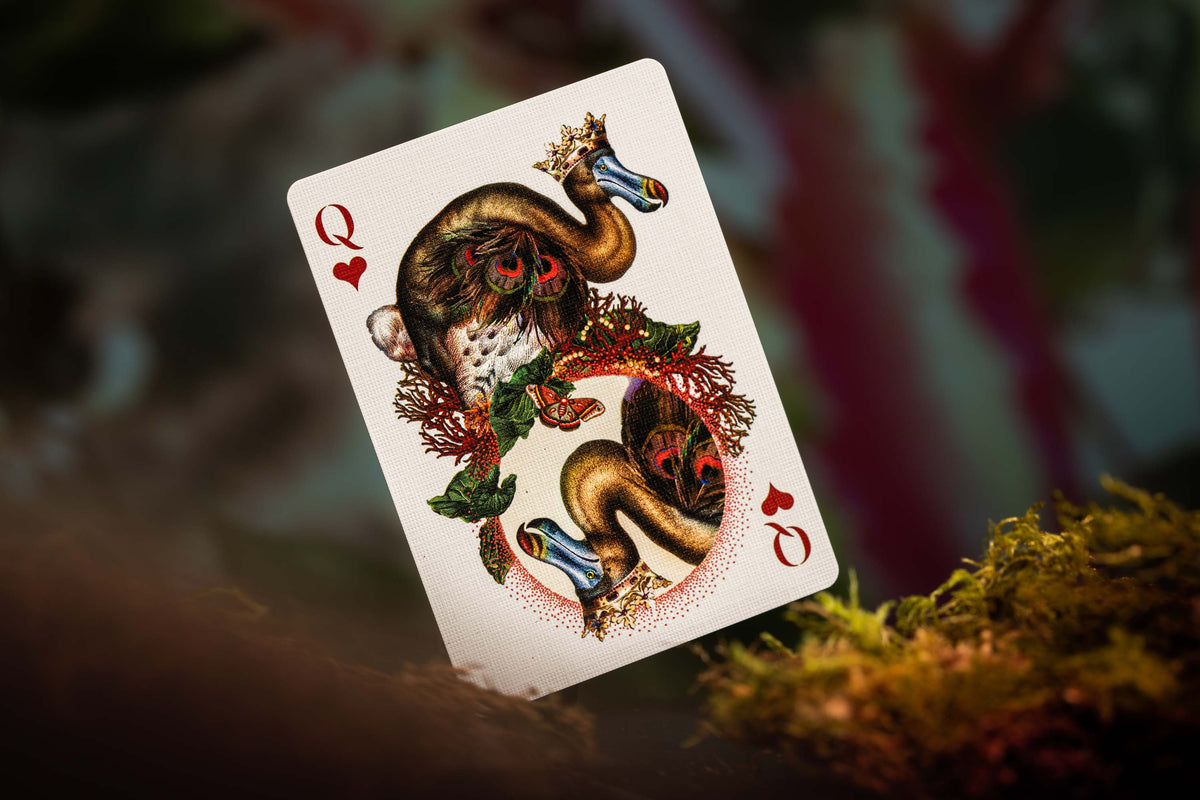 Moooi Playing Cards
