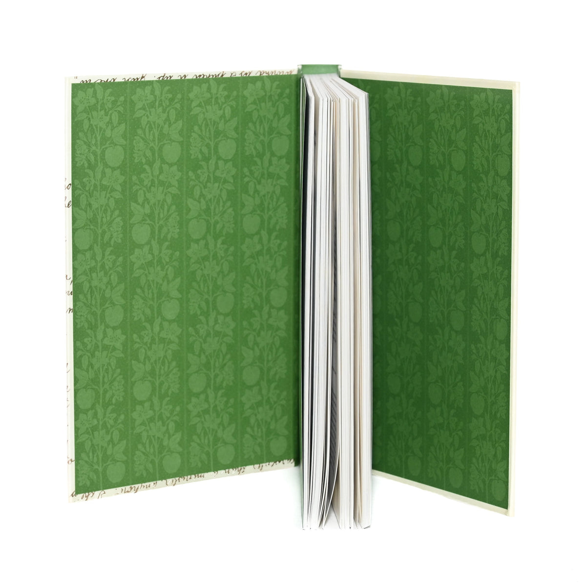 Anne of Green Gables - With Letters from the Characters' Correspondence