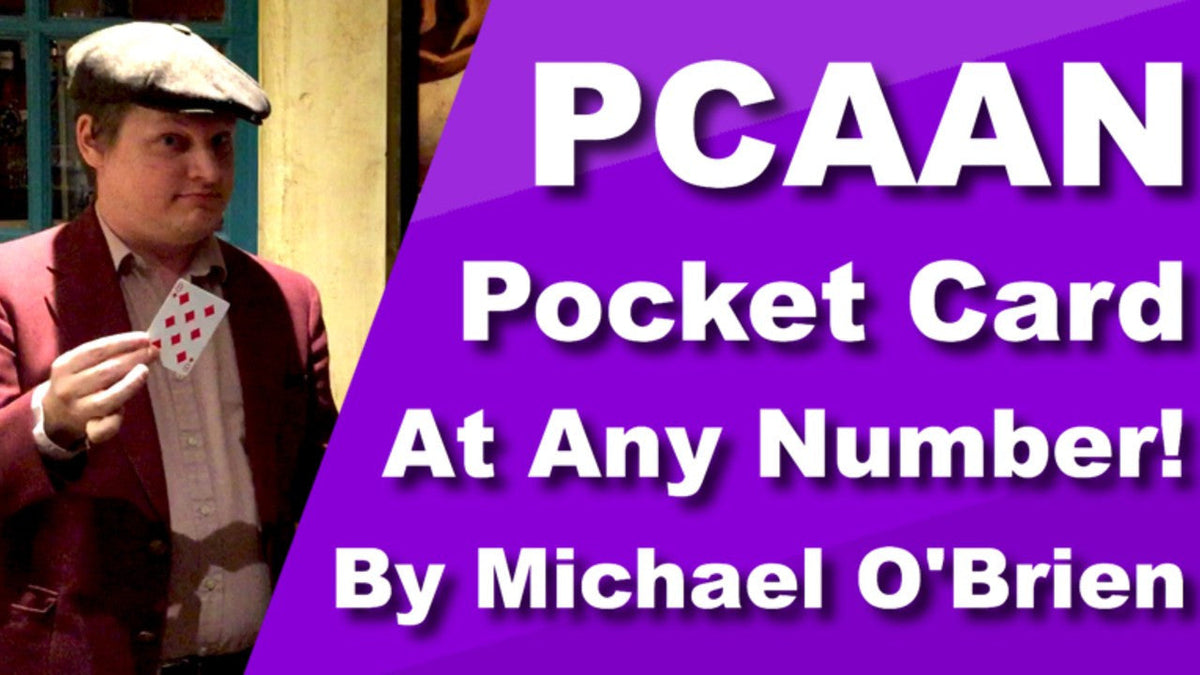 PCAAN by Michael O'Brien