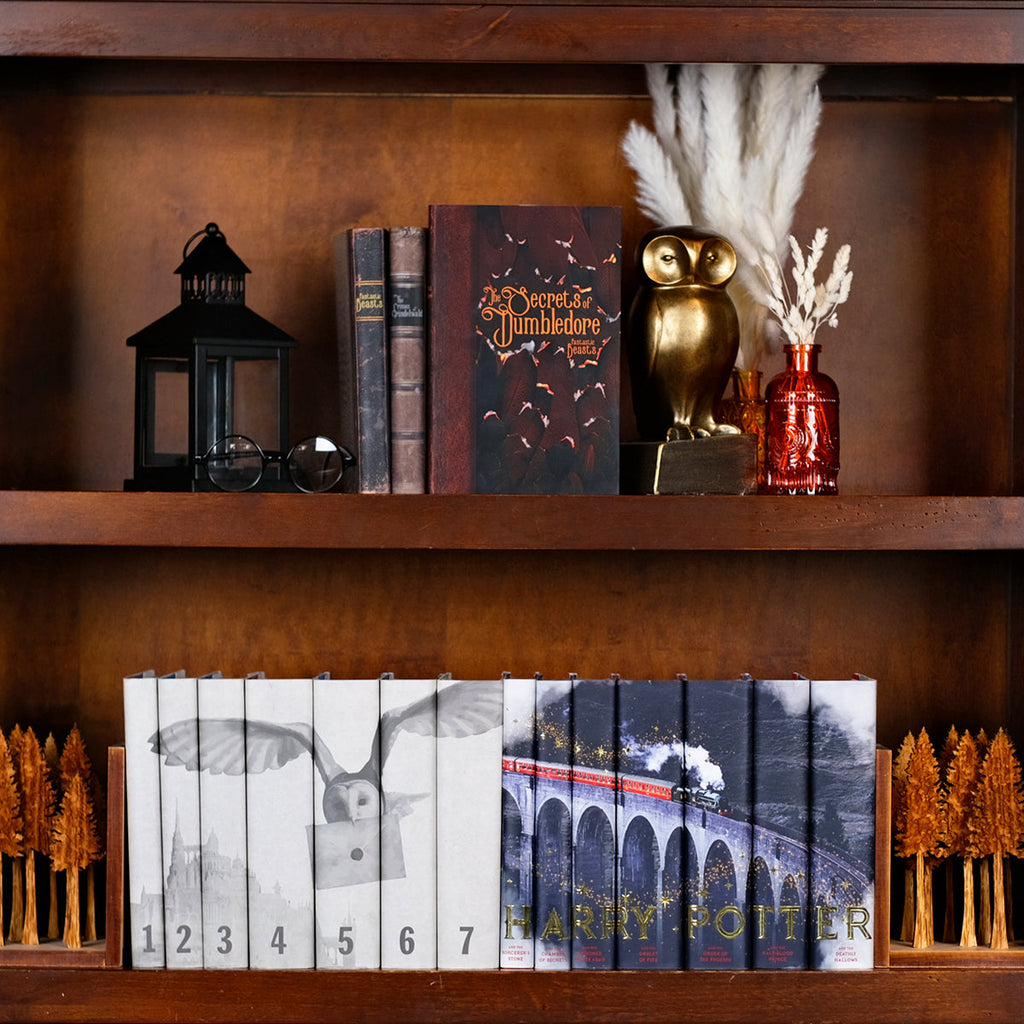 Fantastic Beasts and Where to Find Them: Trilogy Book Set