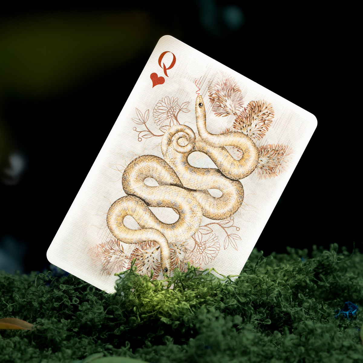 Moooi Collector's Edition Playing Cards