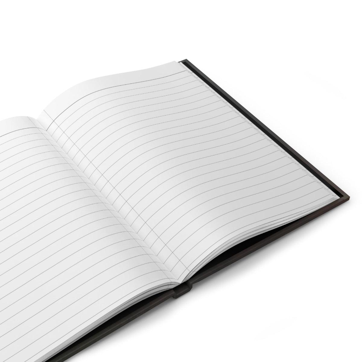 The Raven Hardcover Notebook