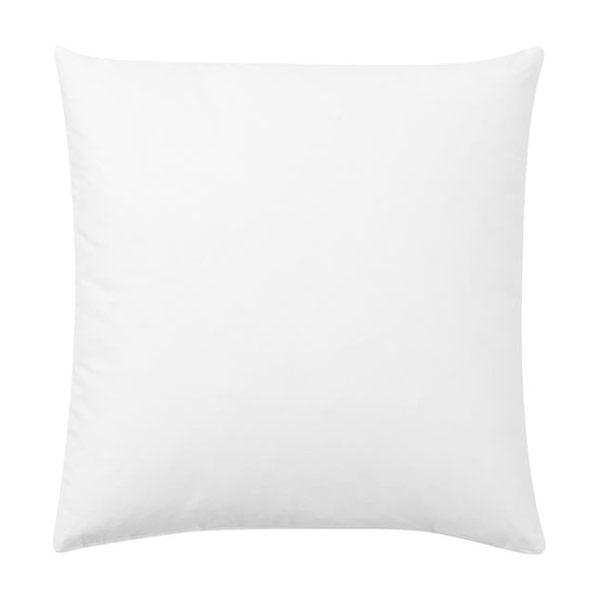 The Raven Pillow