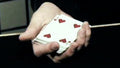 The Biddle Trick by Jonathan Bayme