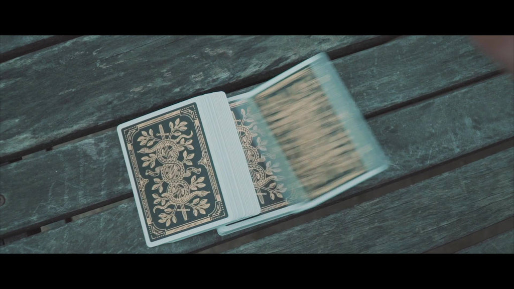Animation